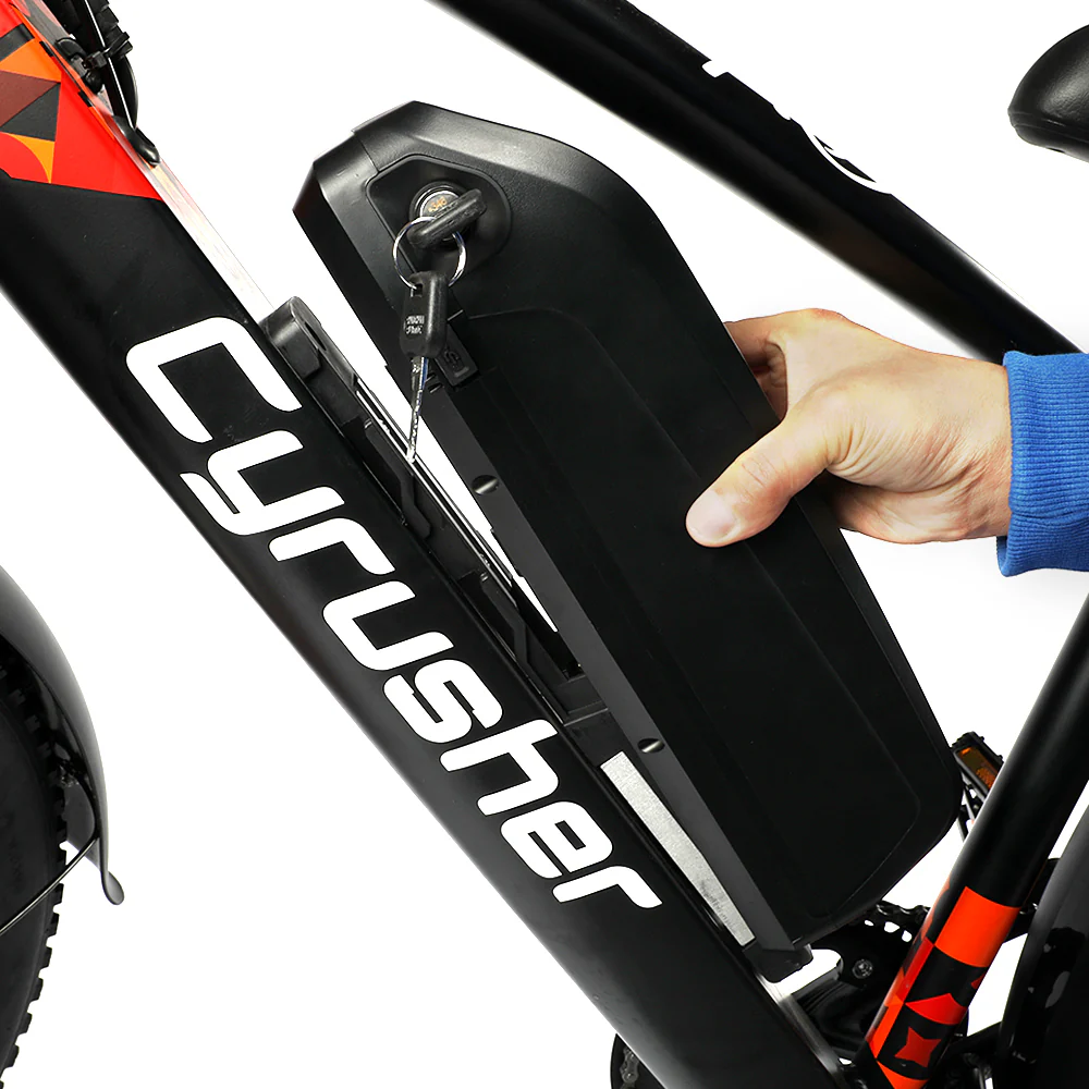 [Pre-sale]48V 16Ah Ebike Battery for Rider (XF650) - Image 8